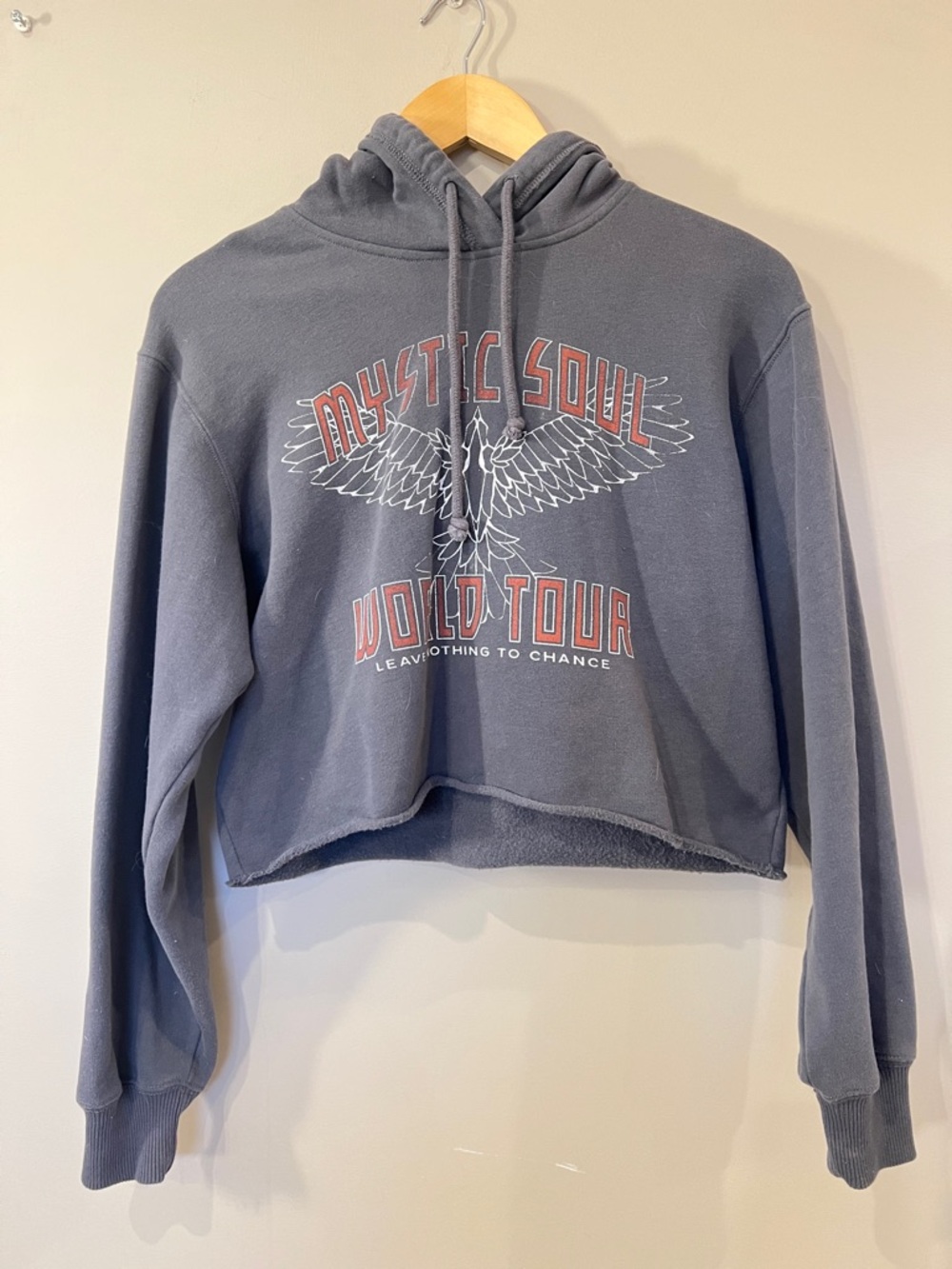 Hollister Gray Cropped 'Mystic Soul World Tour' Hoodie